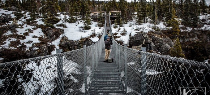 Yukon Suspension Bridge and Summit Tour from Skagway