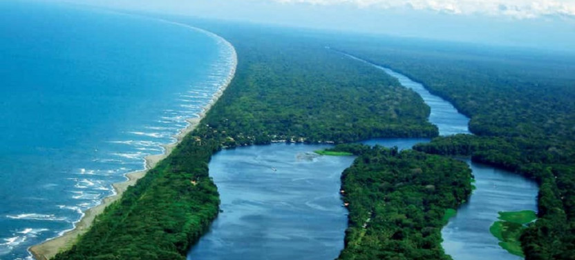 Private: Tortuguero National Park Full Day