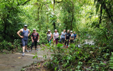 Greenway Nature Tours368