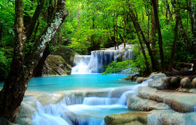 Greenway Nature Tours365