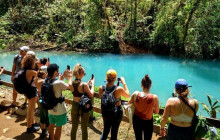 Greenway Nature Tours366