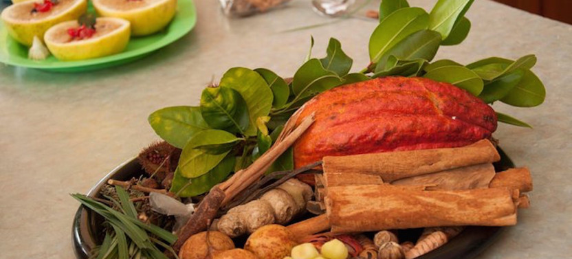 Small Group Authentic Dominica Cooking Class in Roseau with local Daria