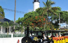 Historic Tours of America / Old Town Trolley Tours2