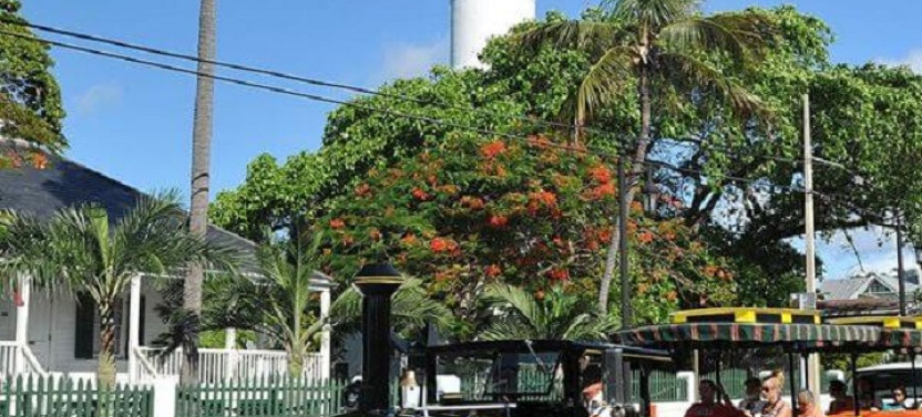 Conch Tour Train Key West - 2 Day Pass