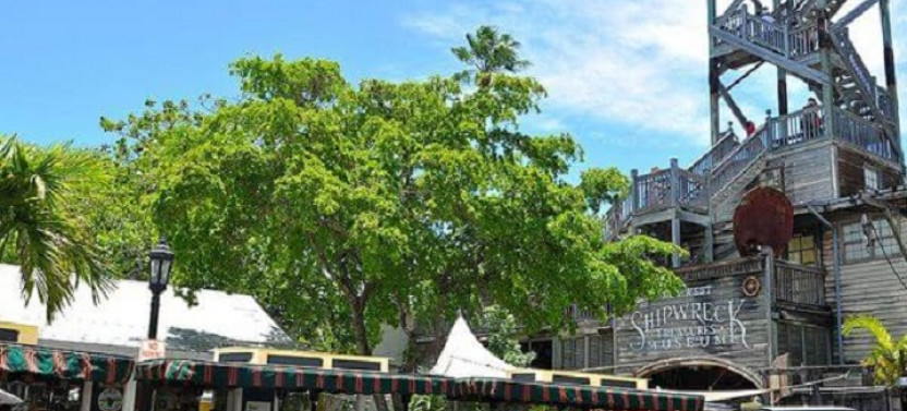 Conch Tour Train Key West - 2 Day Pass