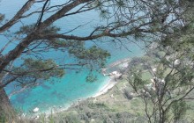Full Day Capri Island with Blue Grotto From Naples