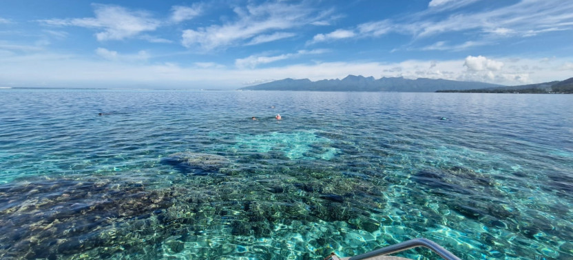 Teahupo'o Sightseeing Tour From Land and Sea