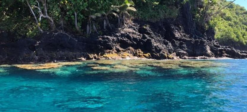 Teahupoo Half Day Discovery tour