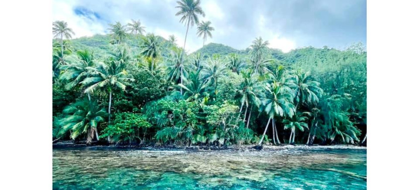Teahupoo Half Day Discovery tour