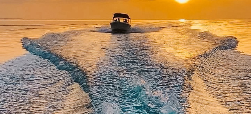 Dolphin Watching Tours & Snorkeling