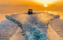 Dolphin Safari Charters2