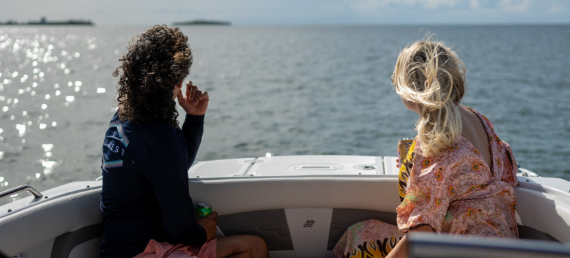 Dolphin Watching Tours & Snorkeling