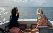 Dolphin Safari Charters3