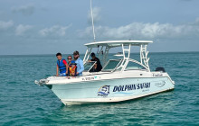 Dolphin Safari Charters5