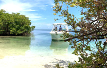 Dolphin Safari Charters2