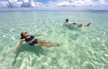 Dolphin Safari Charters1