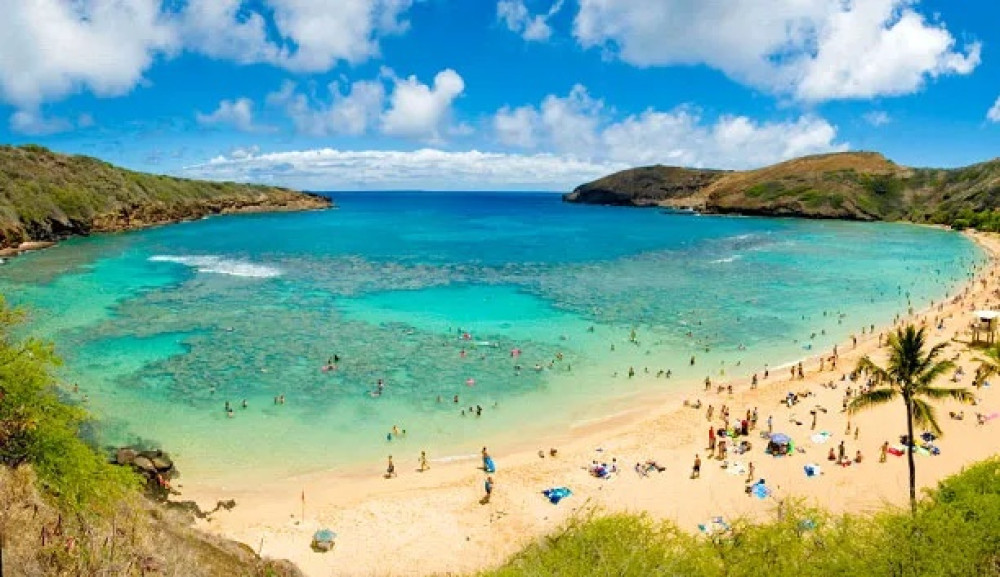 Customized Hanauma Bay Package