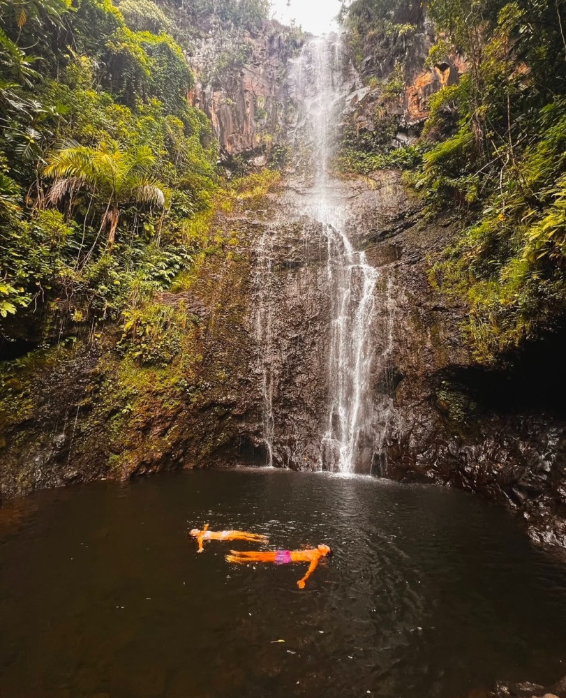 Maui's Sea Turtles & Waterfalls: Taste of Hana Guided Tour