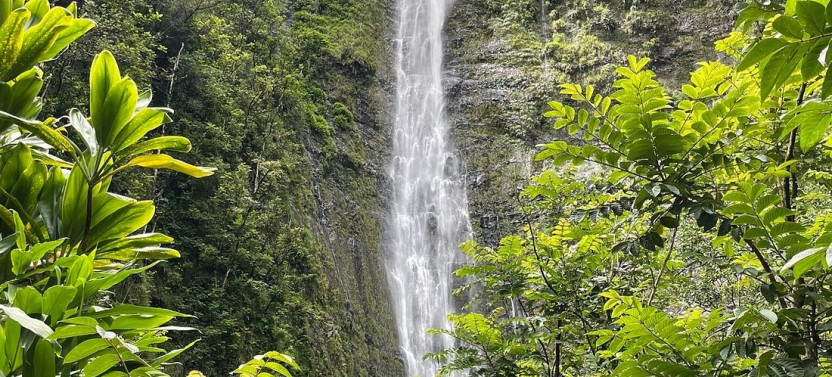 Private Maui’s Sea Turtles, Waterfalls and Taste of Hana Adventure