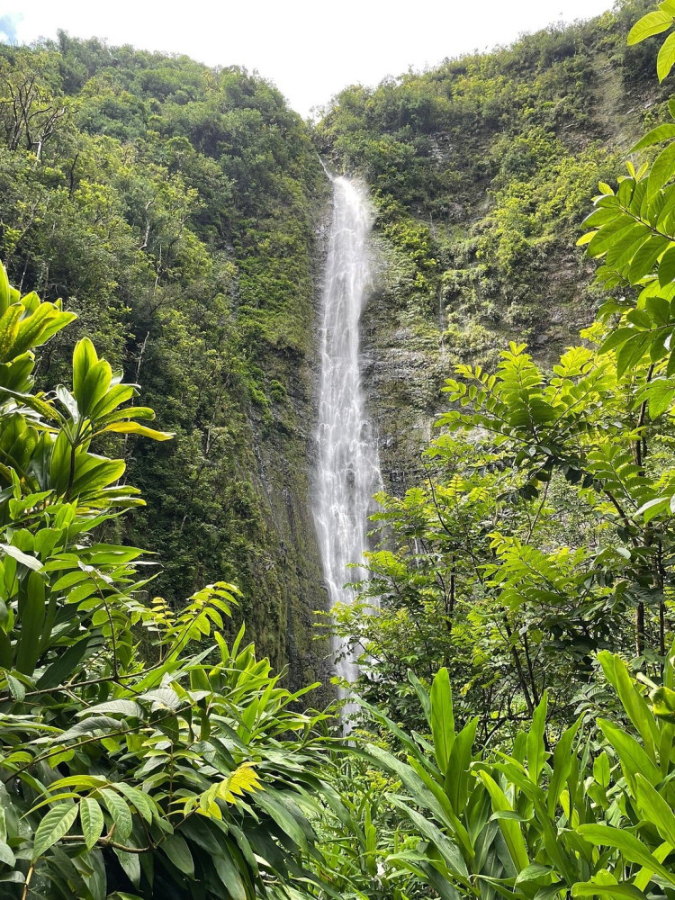 Private Maui’s Sea Turtles, Waterfalls and Taste of Hana Adventure