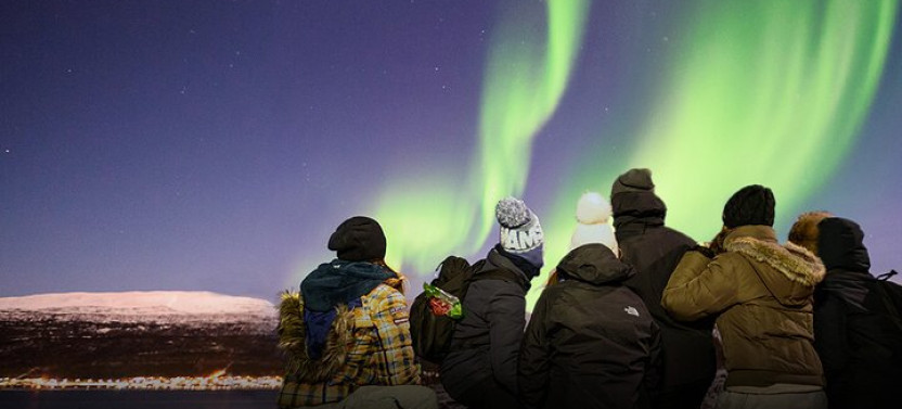 Aurora Chase with Professional Photographers (Northern Lights)