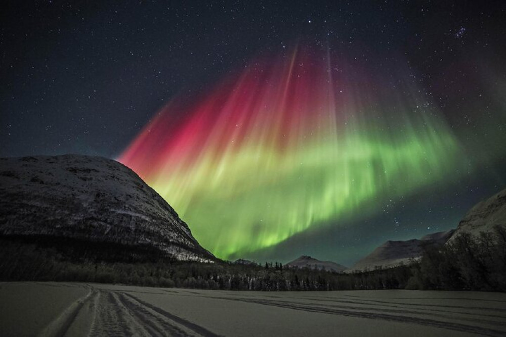 Aurora Chase with Professional Photographers (Northern Lights)