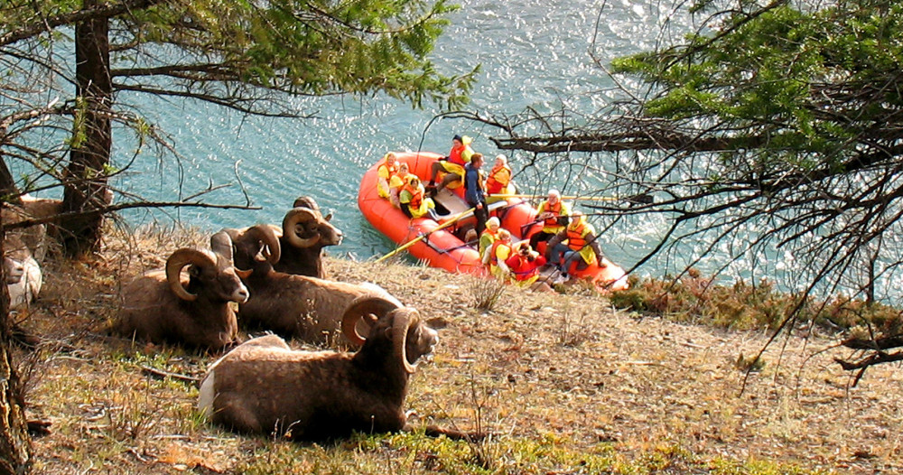 Jasper Raft Tours