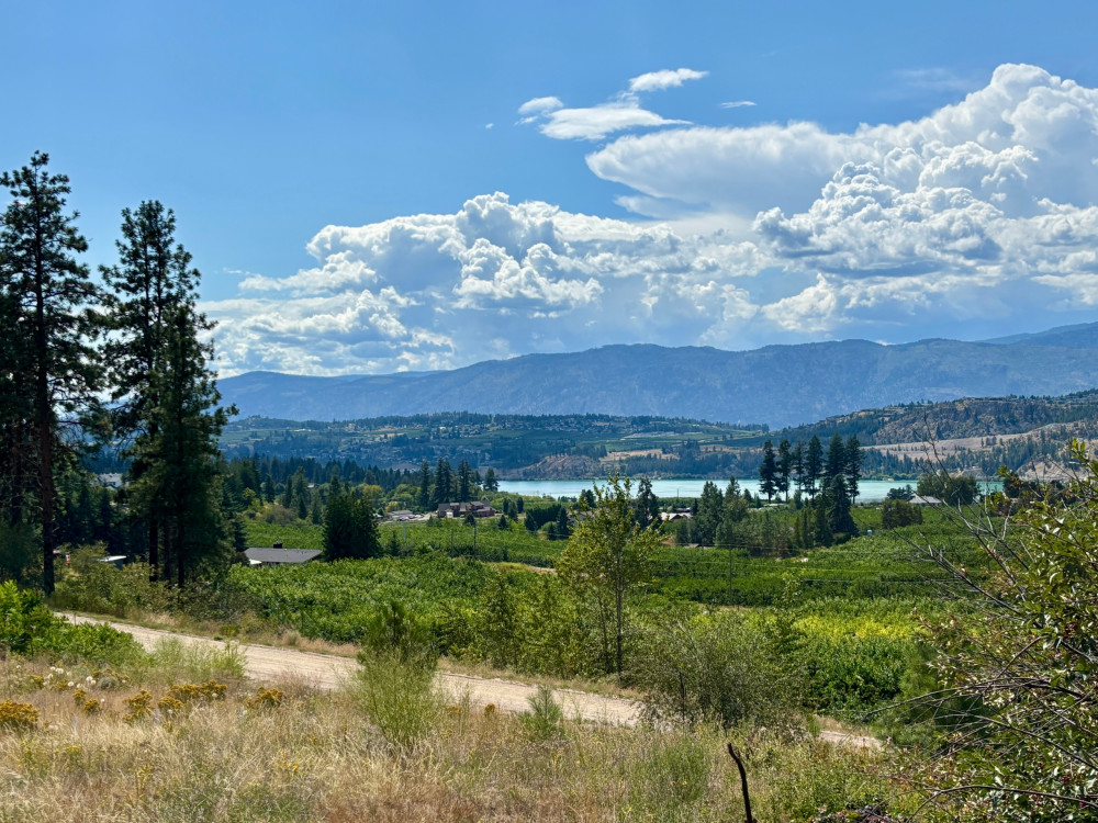 Eight Hour E-Bike Rental