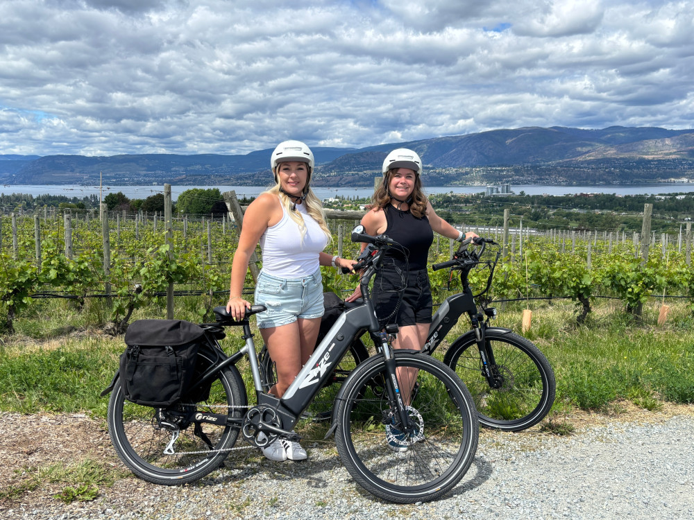 Self-Guided E-Bike Wine Tour with Tastings & Lunch