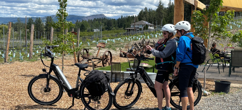Self-Guided E-Bike Wine Tour with Tastings & Lunch