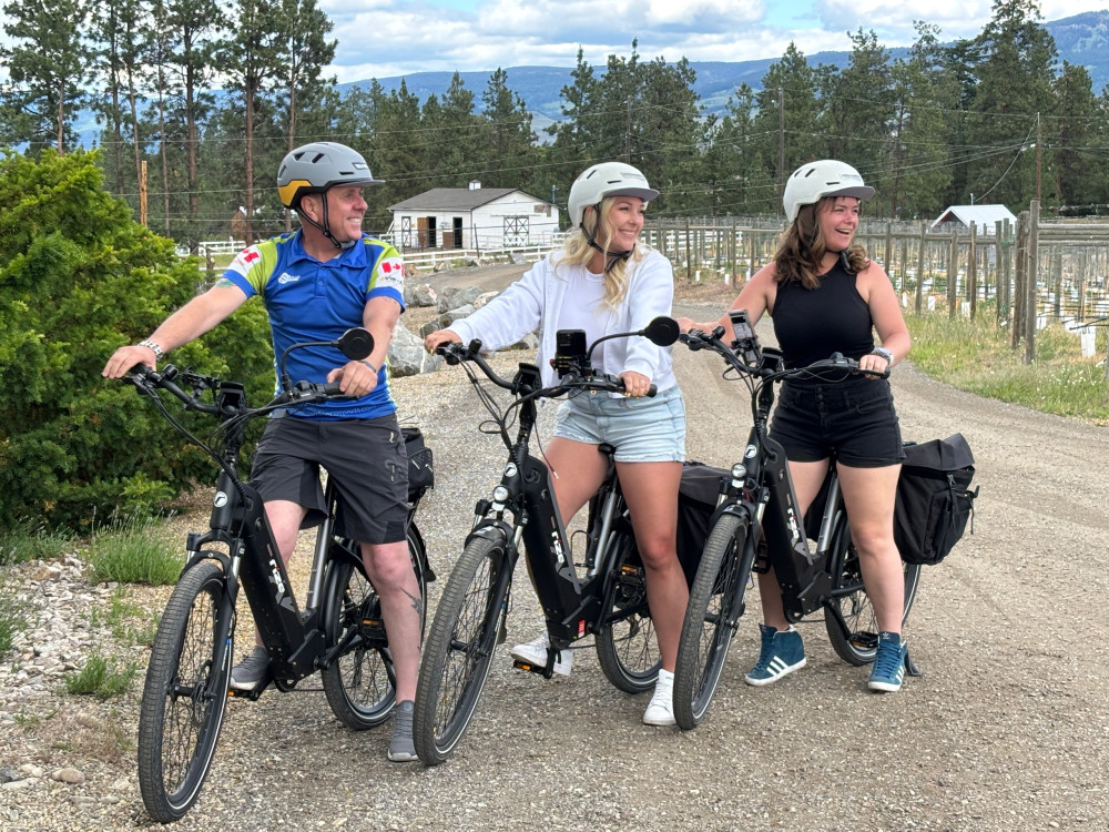 Guided E-Bike Wine Tour with Tastings & Lunch