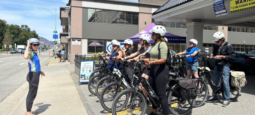 Guided E-Bike Wine Tour with Tastings & Lunch