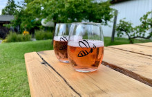 Lakeside Eco-Sports4