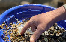 Lakeside Eco-Sports4