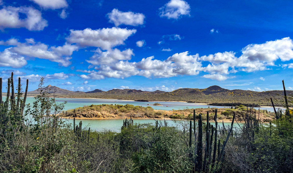 Private North Bonaire Island Tour with Scenic Highlights