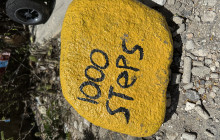 Private Guided Tours Bonaire3