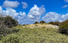 Private Guided Tours Bonaire12