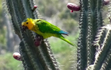 Private Guided Tours Bonaire15