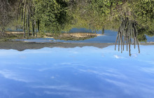 Private Guided Tours Bonaire21