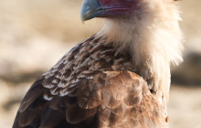 Private Guided Tours Bonaire23