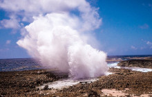 Private Guided Tours Bonaire24