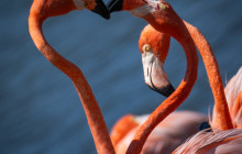 Private Guided Tours Bonaire5