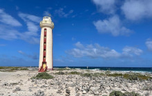 Private Guided Tours Bonaire18