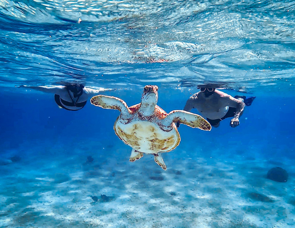 Private Snorkel Tour with Coral Reef Exploration and Photos