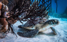 Private Guided Tours Bonaire12