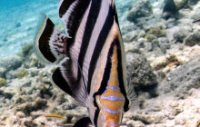 Private Guided Tours Bonaire16