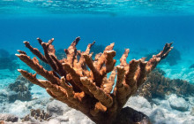 Private Guided Tours Bonaire23