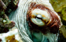 Private Guided Tours Bonaire25