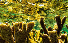 Private Guided Tours Bonaire26