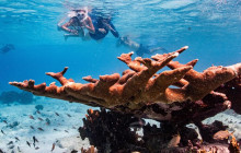 Private Guided Tours Bonaire27